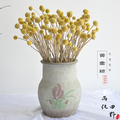 黃金球幹花 昆明黃金果 雲南幹花 仿真花天永生然風幹花 裝飾材料