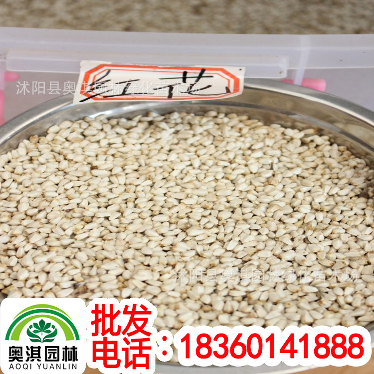 Wholesale Supply Safflower Seed Grass safflower seed Germination rate High Tinctorius seed