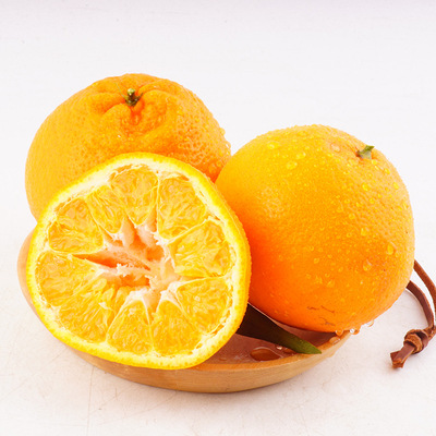春见耙耙深橙黄色柑 现摘现货8斤大果皮薄无籽光滑圆果形爽口橙|ru