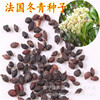 Wholesale new French winter seeds, green seeds, red fruit, winter green seeds are large