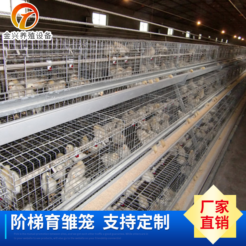 养殖鸡笼定制A字型三层肉鸡笼河南厂家 阶梯式育雏笼批发