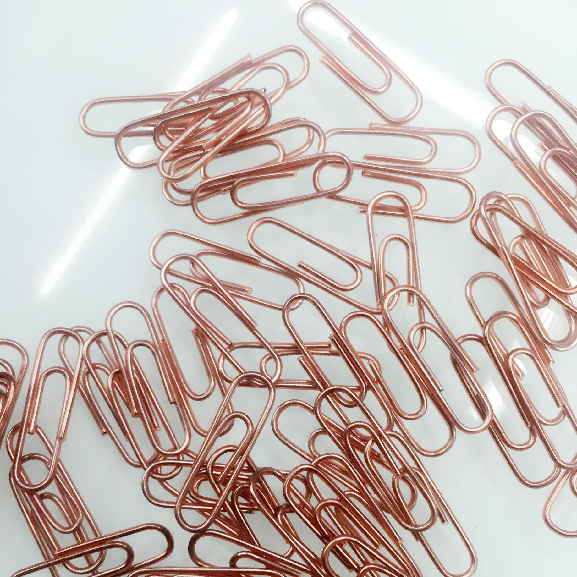 9EC48F1C250C9B43F526A525088C84