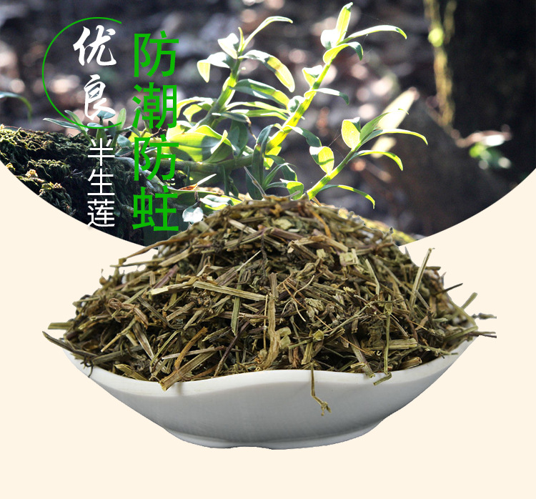 Ban Zhi Lian Dried Herb (Scutellaria barbata) — 500g Food-Herb Cut for Tea & Decoction overview