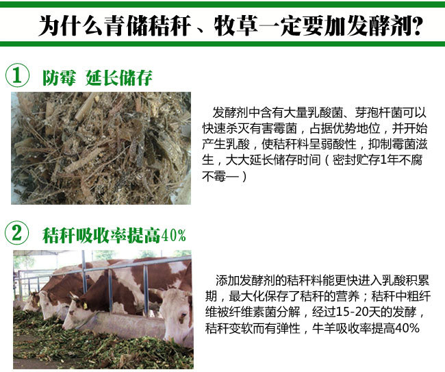 牧草发酵剂