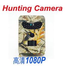 HD 1080POC tБIOؔzC 1200f