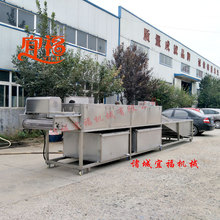大姜清洗机/生姜清洗机/姜清洗设备/生姜清洗流水线 支持定制