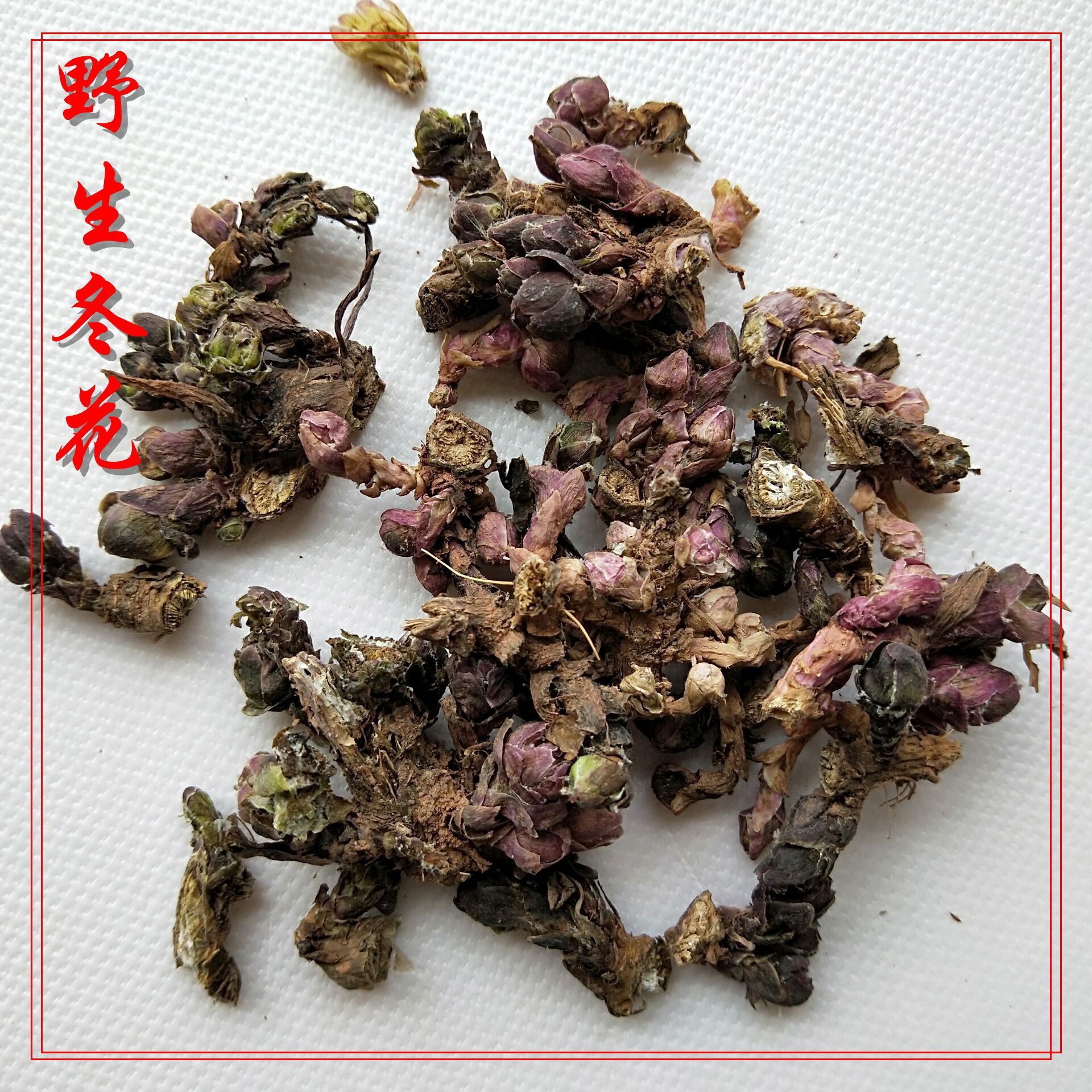 冬花  秦巴山区野外生长  产地一手货源   量大从优  产地批发|ru