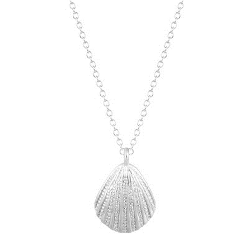 Marine Life Scallop Conch Shell Pendant Necklace Gold And Silver Female Clavicle Chain Wholesale display picture 1