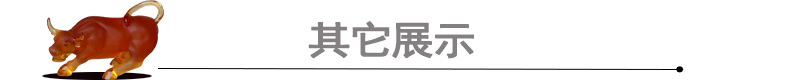 其他展示