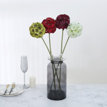 �S�ҟ��N�{�軨�N�ӷ��滨�辰�[�� ��c�Ҿ��bGֲ�ٻ�����