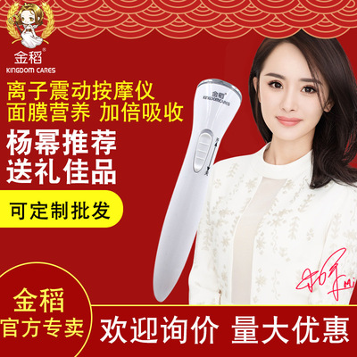 Golden Rice Essence Import Beauty Equipment household Eye bag Edema Massager Face Eye Ultrasonic wave Massage Pen