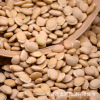 White lentils wholesale grain grains, food and medicine, lentils packaging one piece of 500g five pounds free shipping