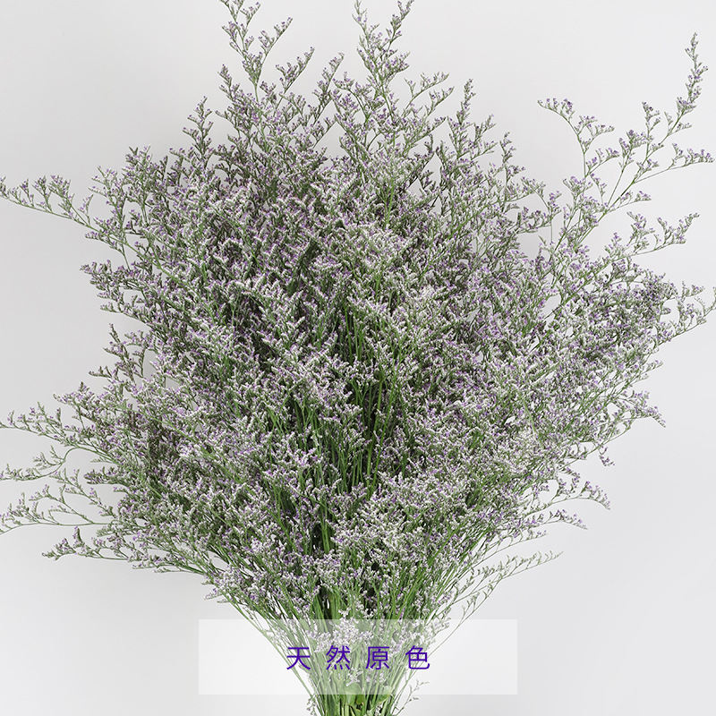 云南鲜花批发 昆明鲜花基地情人草干花彩色染色花束节日用花速运