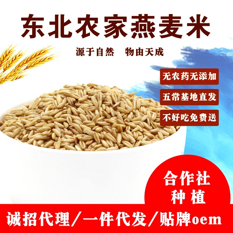 2020 Northeast high quality Oat Oat kernel Wild wheat Wheat Farm Production health preservation Coarse Cereals Oat 500g
