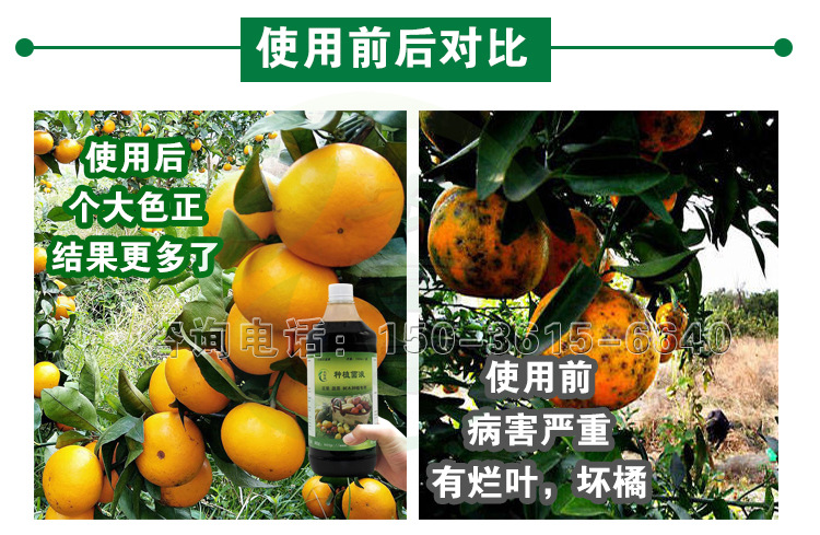 果树防病微生物菌