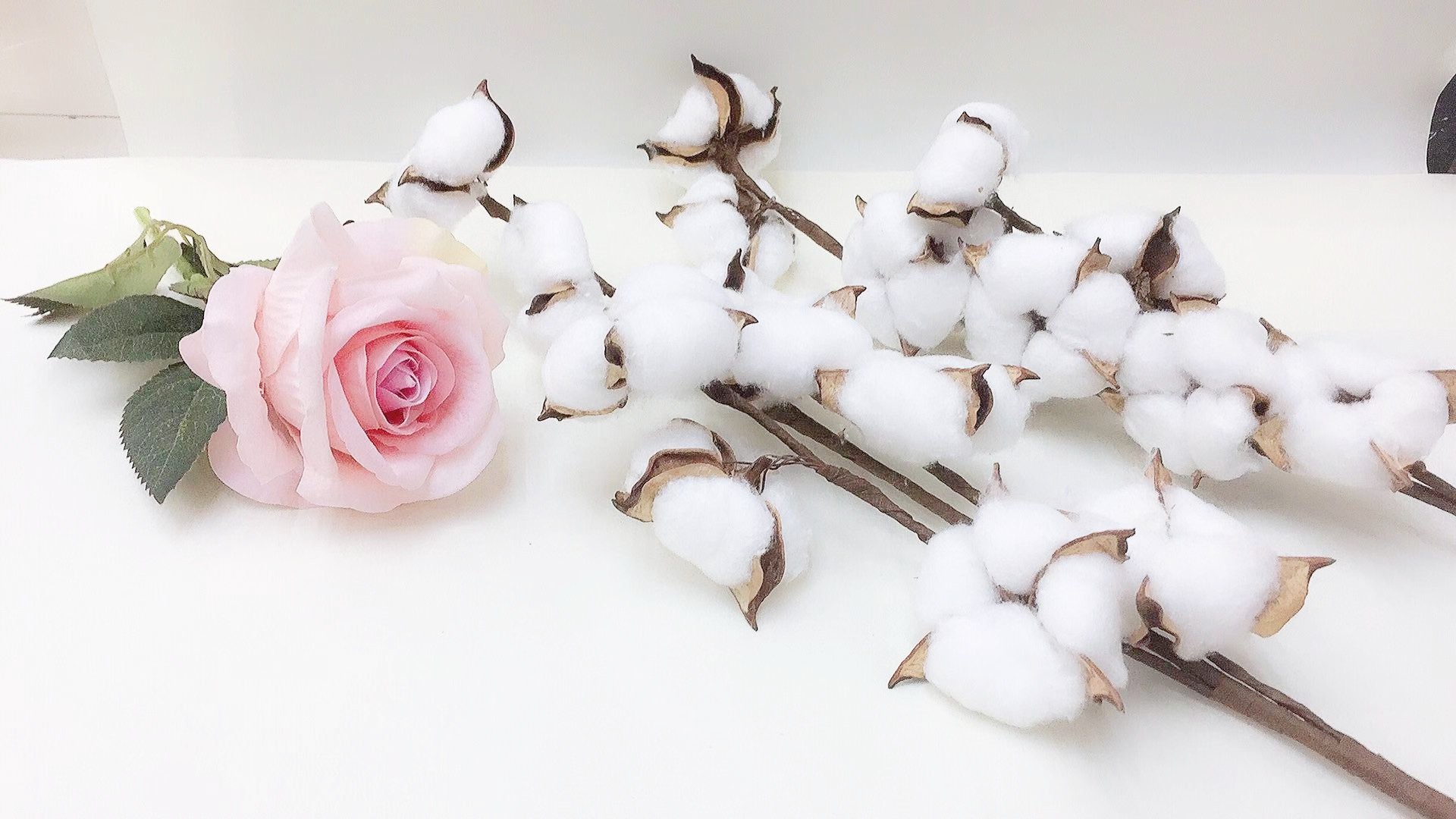 微信图片_20181110154055