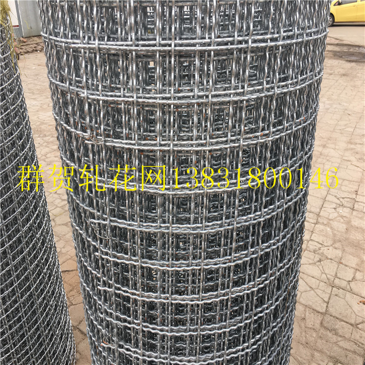 铁网钢网养殖网铁丝网钢丝网金属网编织网焊接网围墙网铁围网厂家