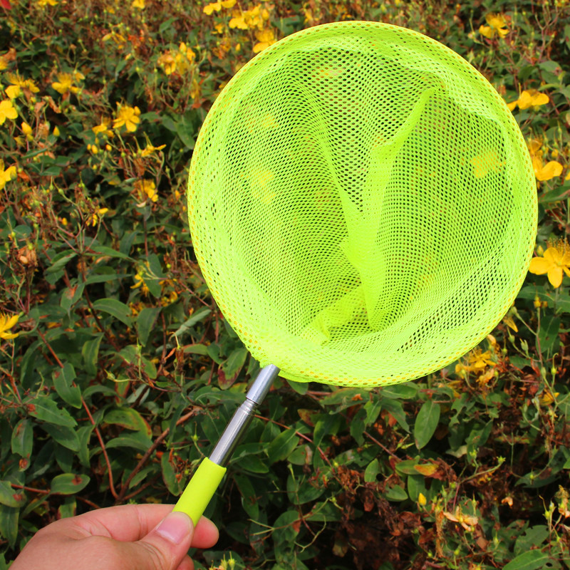 IMG_5565_副本8000 (2)