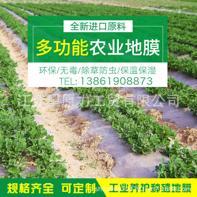 批发透明地膜农用塑料薄膜白色防冻保温防渗膜透明塑料布农膜厂家|ru
