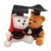 Graduation Gift doctor Teddy Bear Graduation Bear glasses style Optional personality customized