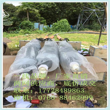 附件冷縮 YJZWG4-110kv 240（廠家制作）