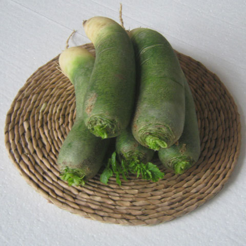 山东潍坊水果萝卜/潍县萝卜夏庄水果萝卜头下饭菜新鲜蔬菜批发