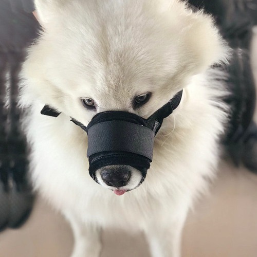 Breathable and comfortable dog bite muzzle for anti-barking, can drink water, suitable for small, medium, and large breeds like Teacup, Golden Retriever, and Labrador.