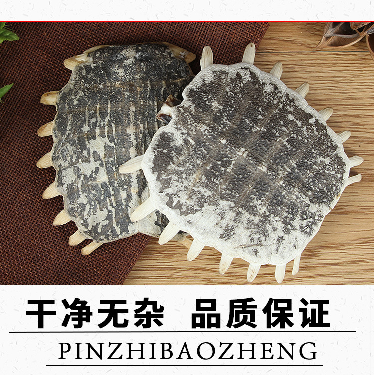 Bie Jia (Trionyx sinensis Carapace) — Dried Soft-Shell Turtle Shell for Herbal Decoction key features