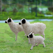 仿真皮毛动物绵羊模型小庭院花园展厅场馆等绵羊装饰摆件影视道具