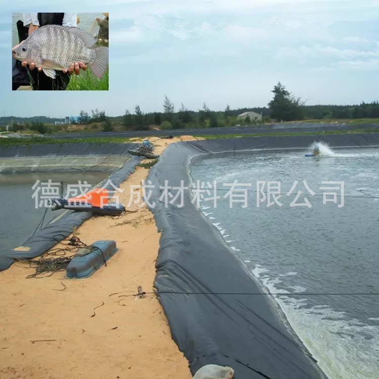 土工膜aY.png_.webp_副本