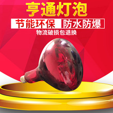 防水防爆浴霸灯泡 红外线汽车美容理发灯 养殖取暖灯泡 加工定做