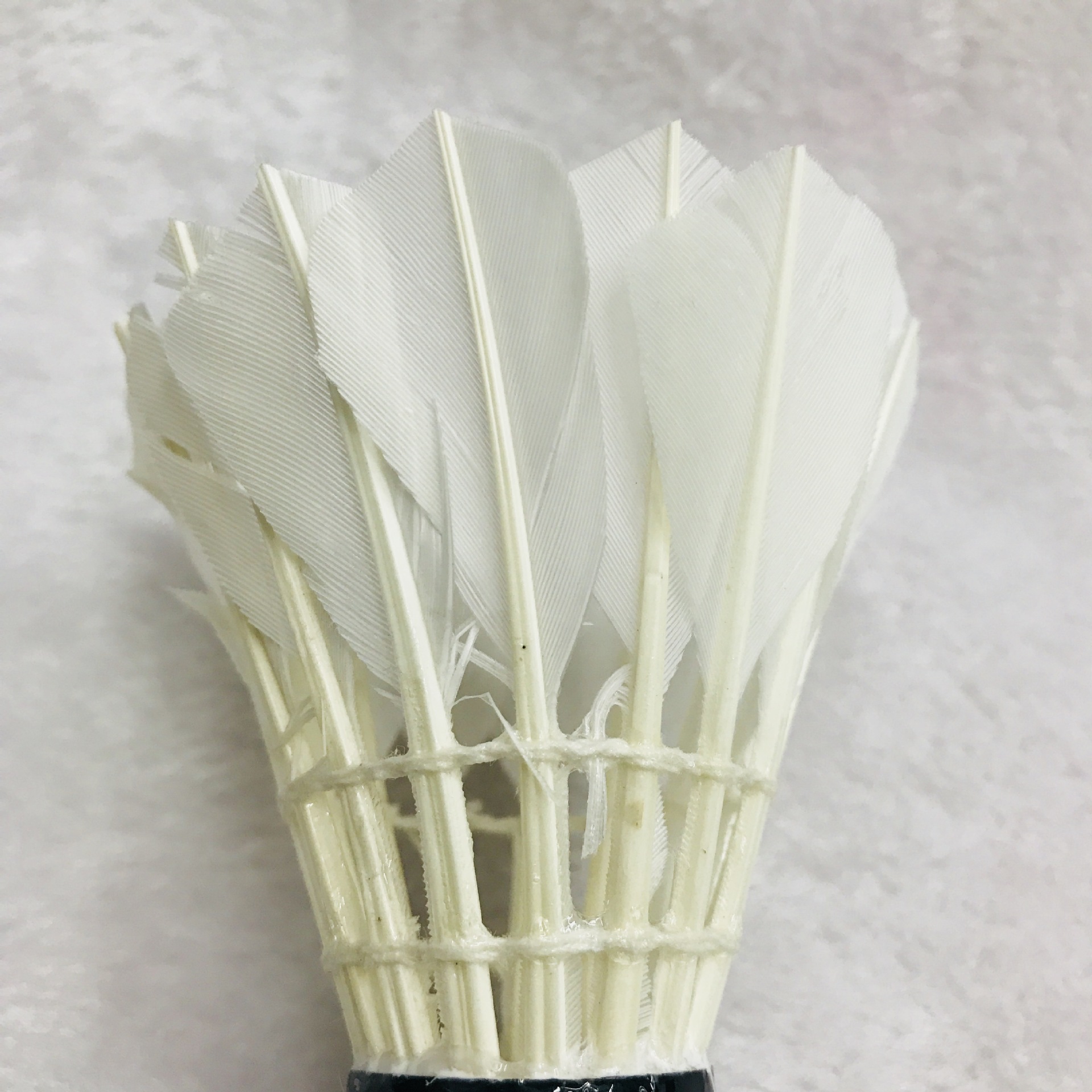 IMG_3117(20180305-112118)