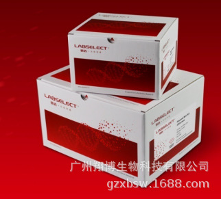 250次 DNA纯化试剂盒 KIT-DNA-250