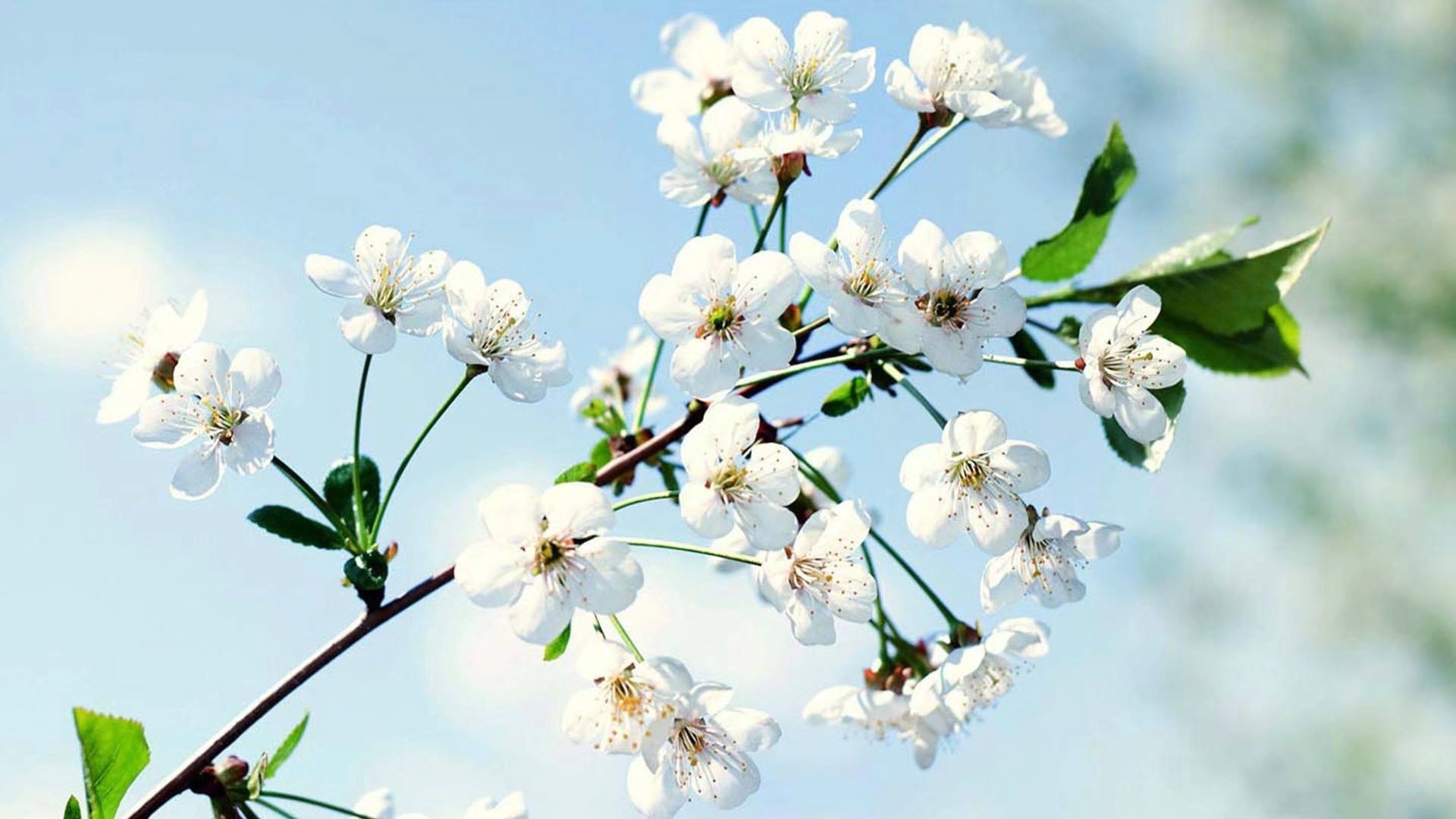 看着很多的人在很努力的往前走,也是走了很久的他们依然可以走得很快。再快速当中,达到了一...