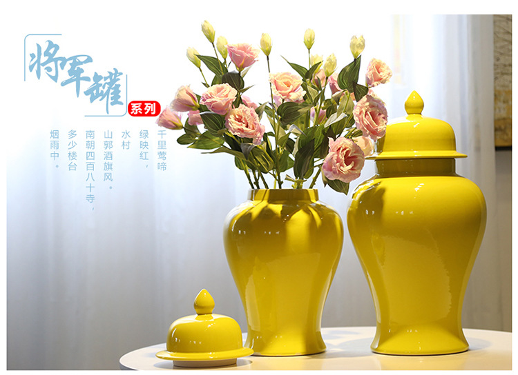 TB20fVnXyPmJKJjy0FgXXcWpFXa_!!