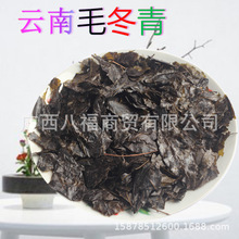 毛冬青茶大叶苦丁茶散装 跑江湖地摊展会凉茶花草茶批发毛冬青茶