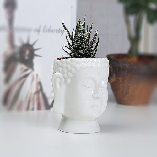 Wholesale supply of white ceramic succulent flower pots, simple desktop creative green plants, Buddha statues, flower ornaments, white