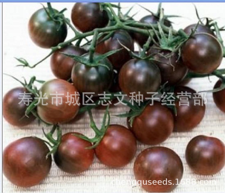 Vegetable Seeds 100 Purple tomato Black Tomato Tomatoes seed Cherry tomatoes fruit tomato seed
