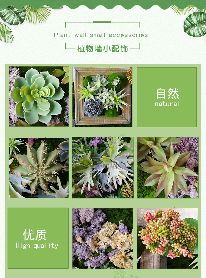 植物墙-多肉详情页_05.jpg