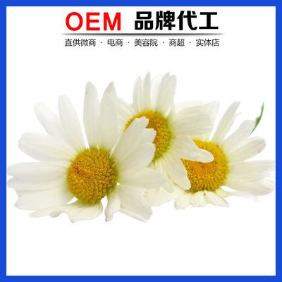 Chamomile Hydrosol oem Sure Toner Replenish water essential oil Manufactor wholesale OEM customized Drum Flower water