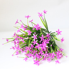 白紫蘭 白紫蘭批發 促銷價格 產地貨源 阿里巴巴