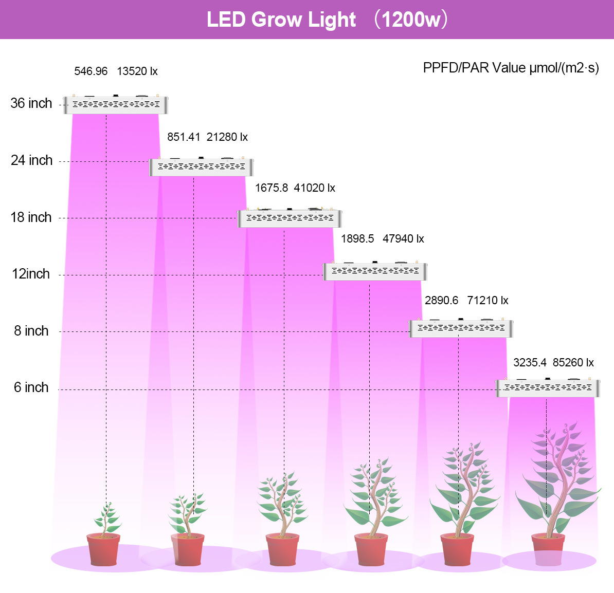 ECO1200w-1