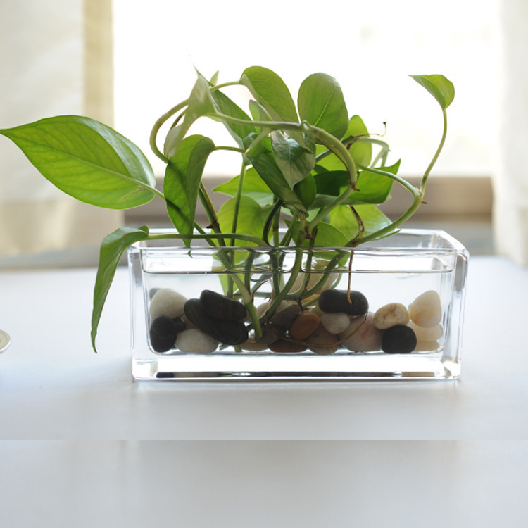 1068172803_1230974950