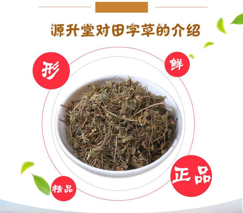 Tian Zi Cao (Marsilea quadrifolia) — Dried Four-Leaf Clover Water Herb, 500g key features