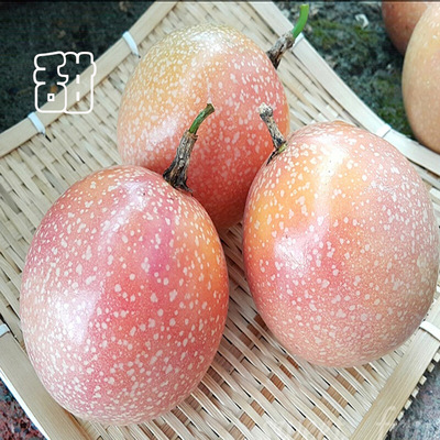 新鲜 水果9斤大红鲜果广西现摘百香果现货包邮西番莲鸡蛋果孕妇果|ms