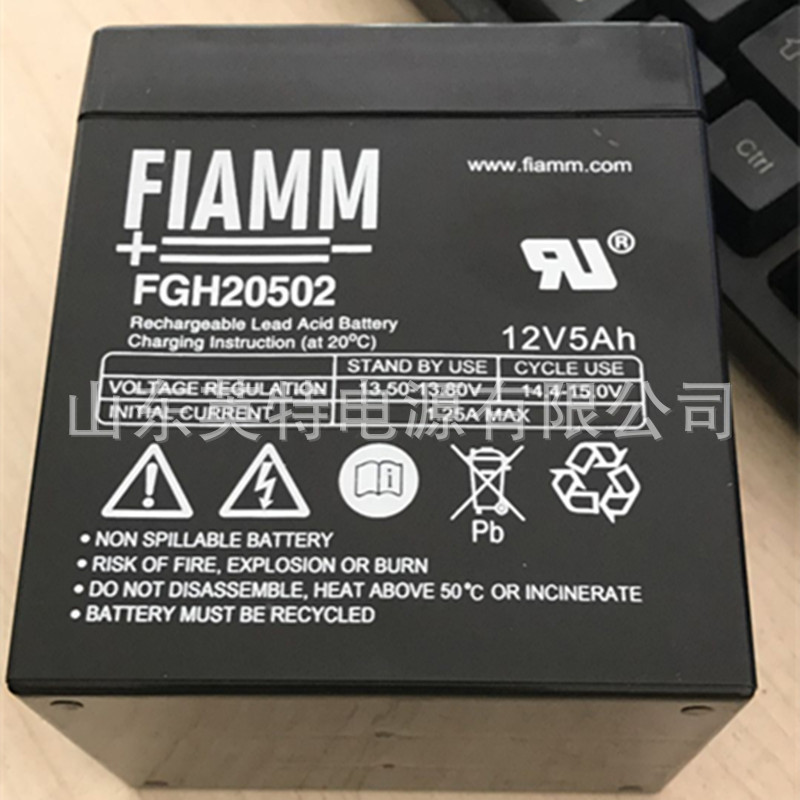 FIAMM非凡蓄电池FGH20502 12VH电力免维护蓄电池
