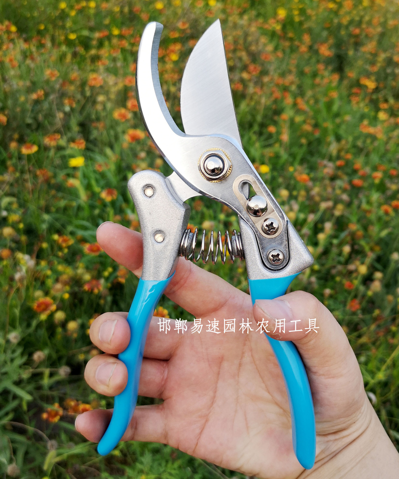 剪树的剪子,果树,树枝_大山谷图库