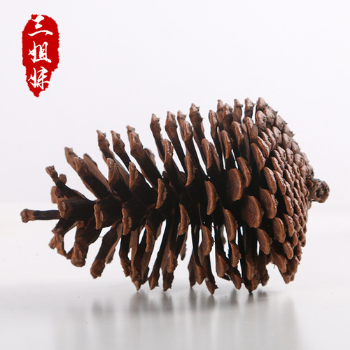 American pine cone tower dyed white large pine cone crafts raw materials Christmas decoration props ornaments pine cone balls wholesale