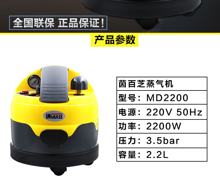 Yinbaizhi MD2200 High Temperature Car Steam Sauna Disinfection Cleaning Machine Car Supplies Decontamination and Degreasing Genuine