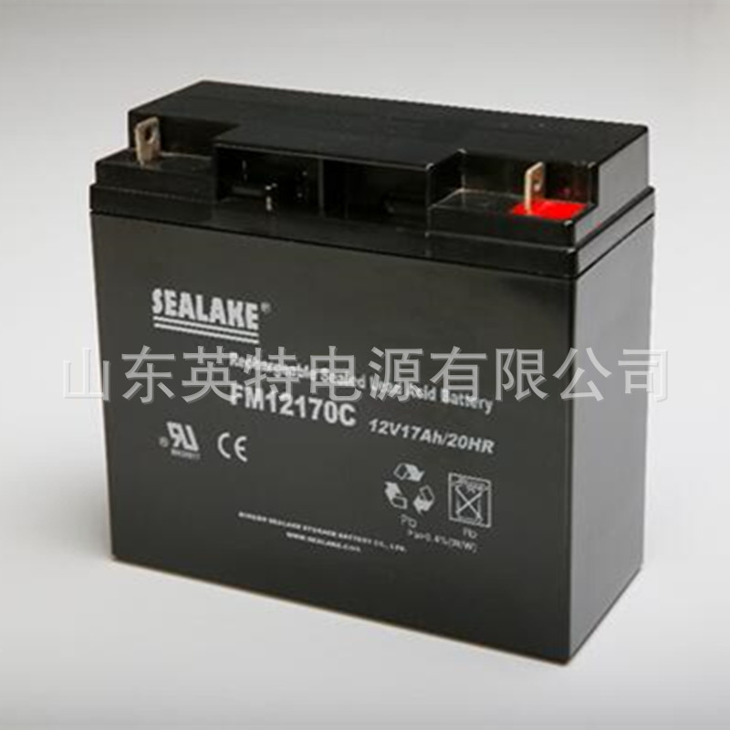 海湖SEALAKE蓄电池FM12170C/12V17AH电源直流屏消防UPS主机蓄电池
